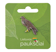 Pin Badge Common Buzzard
